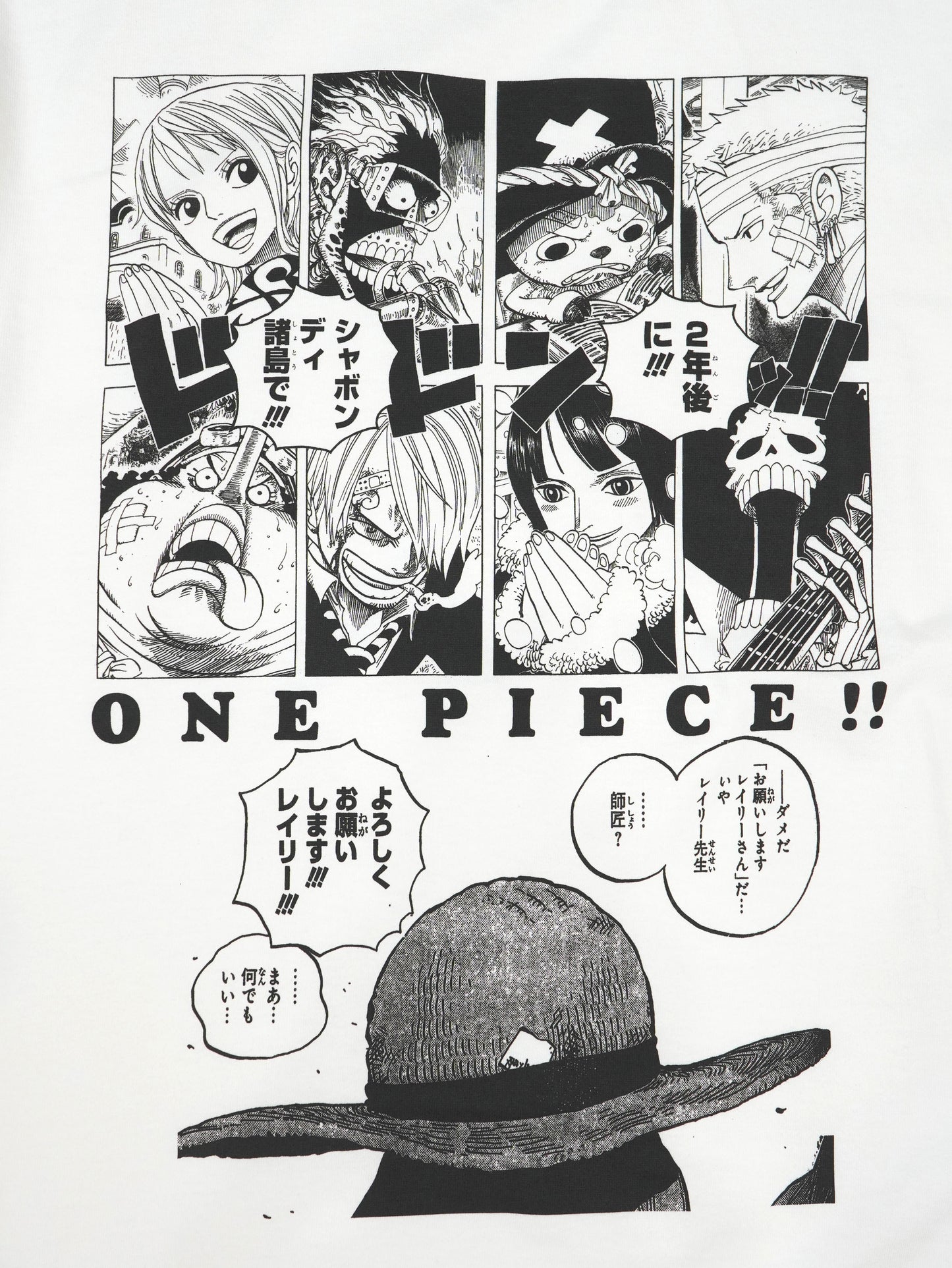 ONE PIECE / 3D2Y Tee