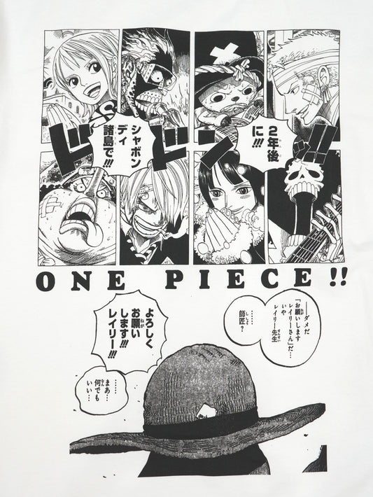 ONE PIECE / 3D2Y Tee